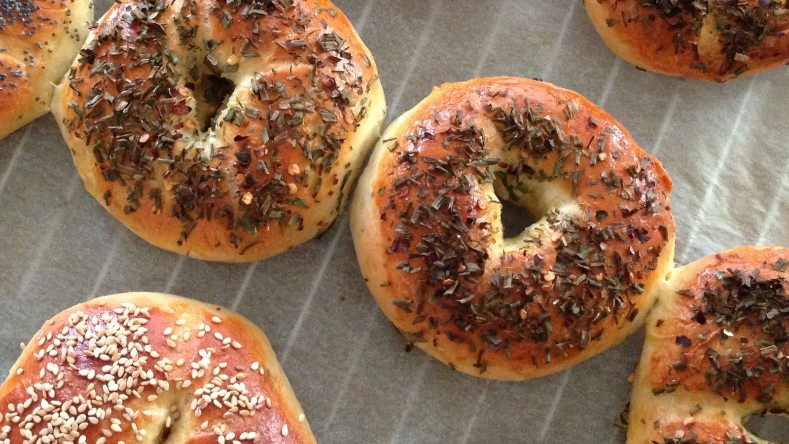 Bagels on an oven rack