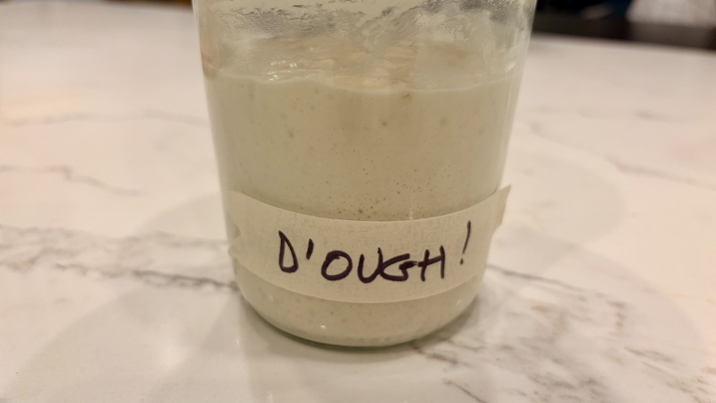 A jar of active sourdough starter, labeled “D’OUGH!”